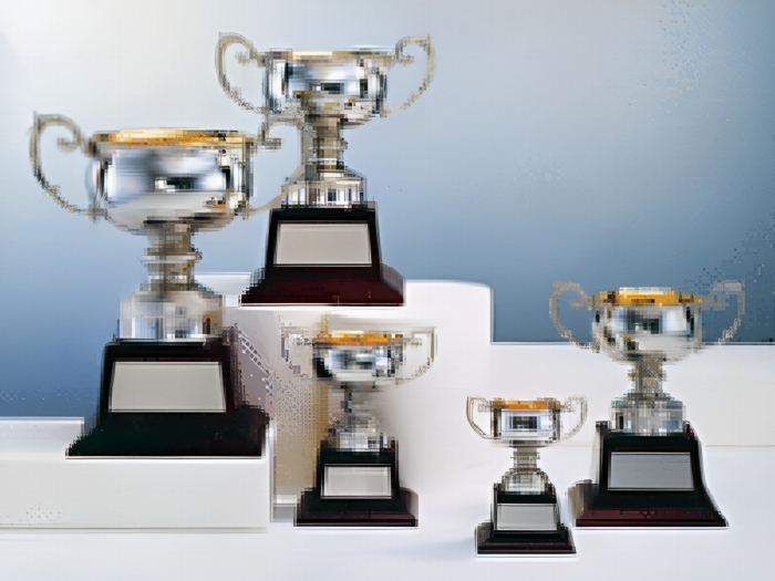 有限会社アキババッジ